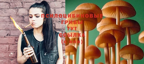 спиды Заволжье
