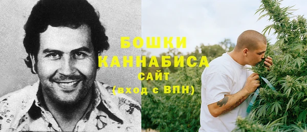 альфа пвп Заводоуковск