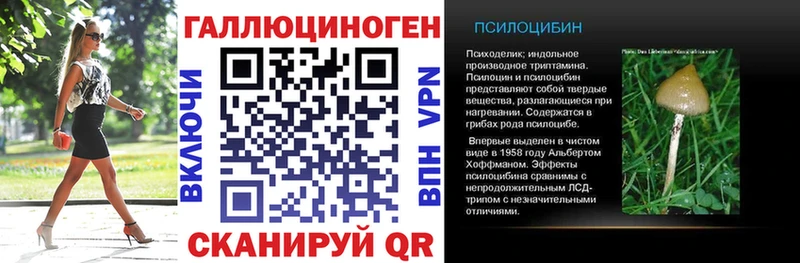 Купить где  Урюпинск  Псилоцибиновые грибы GOLDEN TEACHER 
